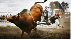 Bull Rider at Lawton Rangers Rodeo